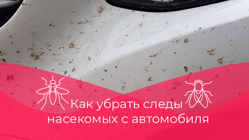 Как удалить следы насекомых с кузова автомобиля: эффективные методы и профилактика