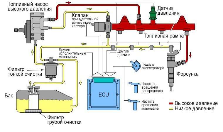 Топливная система спортивного автомобиля: компоненты, принципы работы и особенности